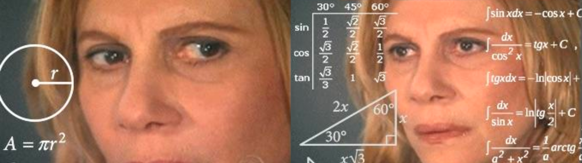 Meme of a woman trying to calculate difficult mathematical functions