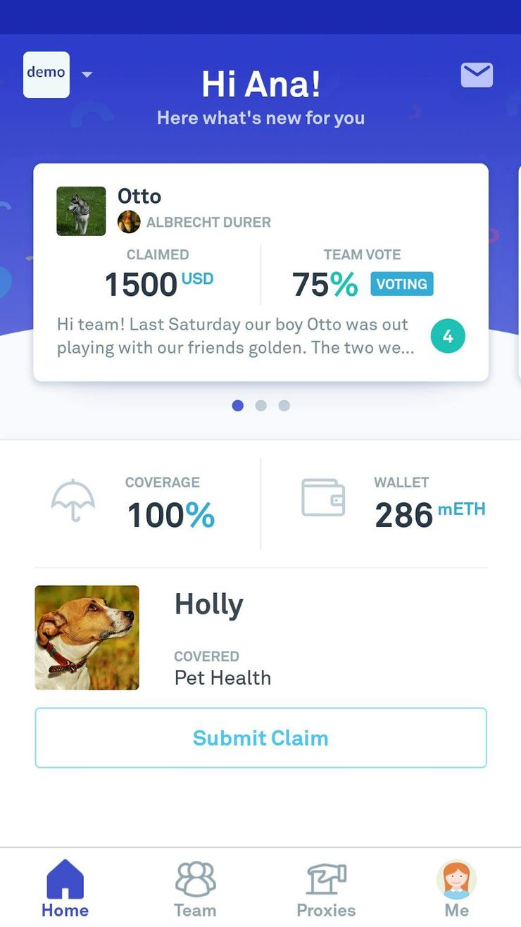 The examples of the Teambrella app user interface