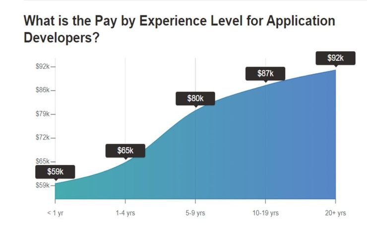 A graph depicting the pay of app developer based on his experience level
