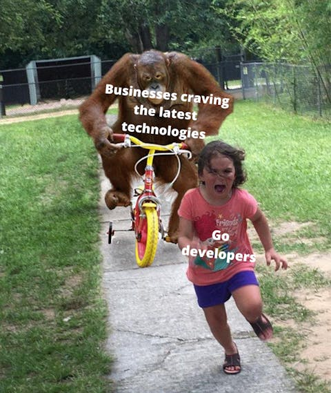 Meme of a little girl with the caption "Go developer" running away from a big monkey riding a kid's bike with the caption ""Businesses craving the latest technologies.