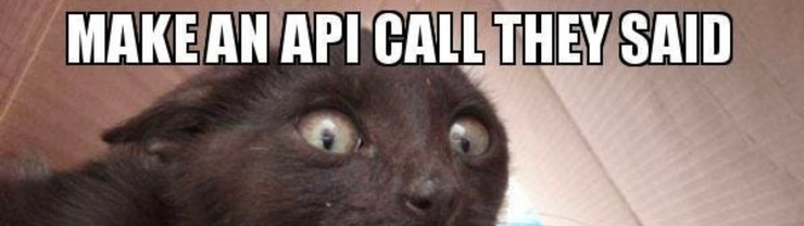 Goggle-eyed cat with the inscription "Make an API call they said"