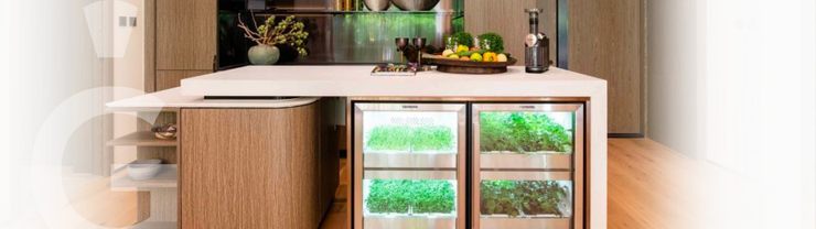 Smart garden for easy home growing in the kitchen
