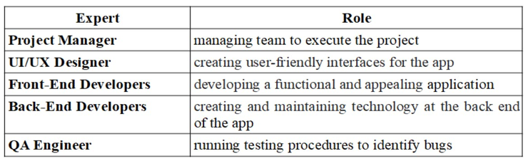 Table with team structure for video editing app development