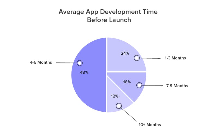 Diagram with the average web app development time before launch
