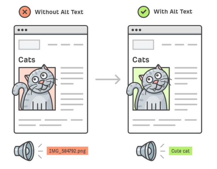 Interfaces of two applications with the image of a cat, for one of which alt text is prescribed and the other is not